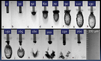 Er:YAG laser root canal debridement — study figure